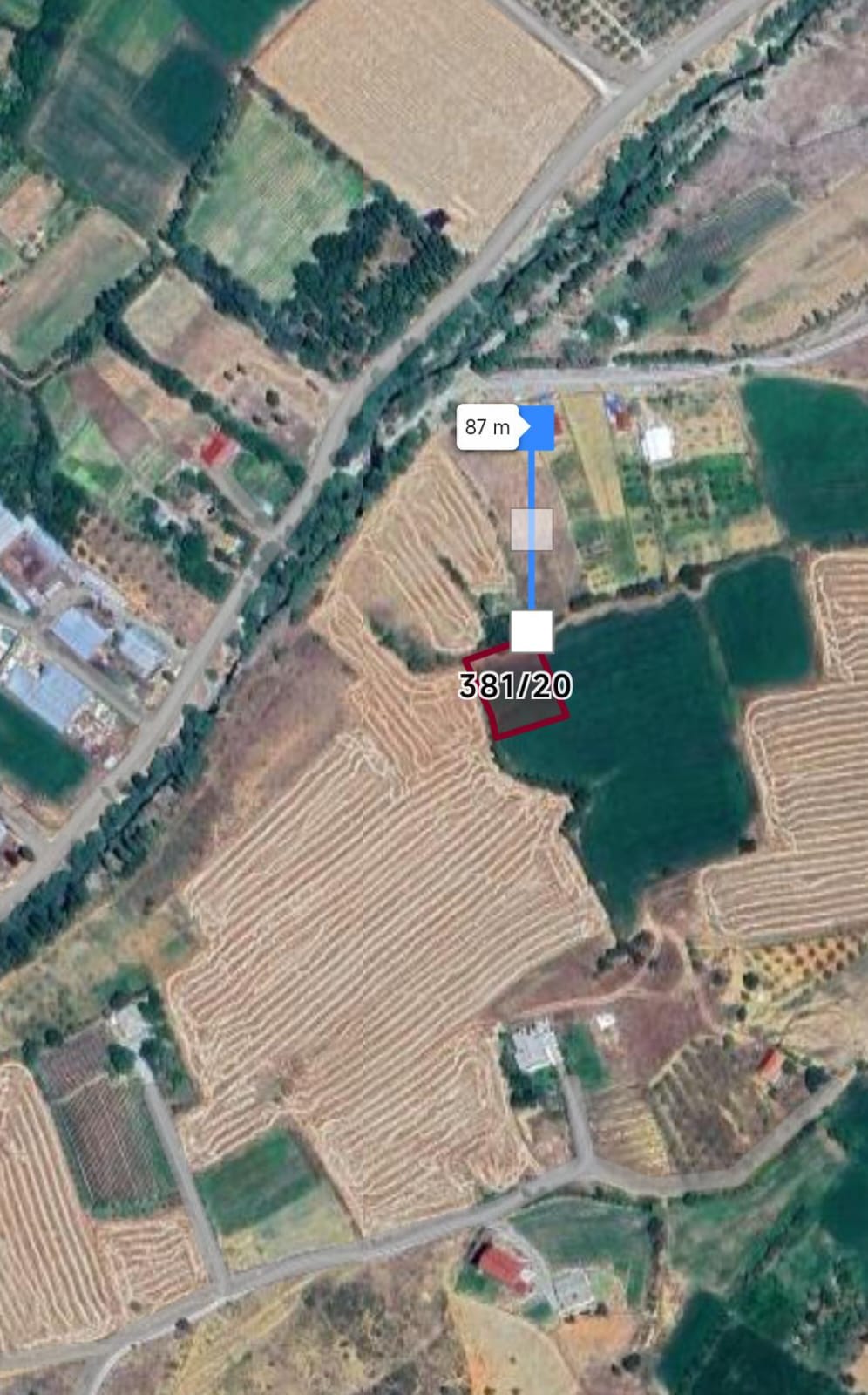 Fotoğraf